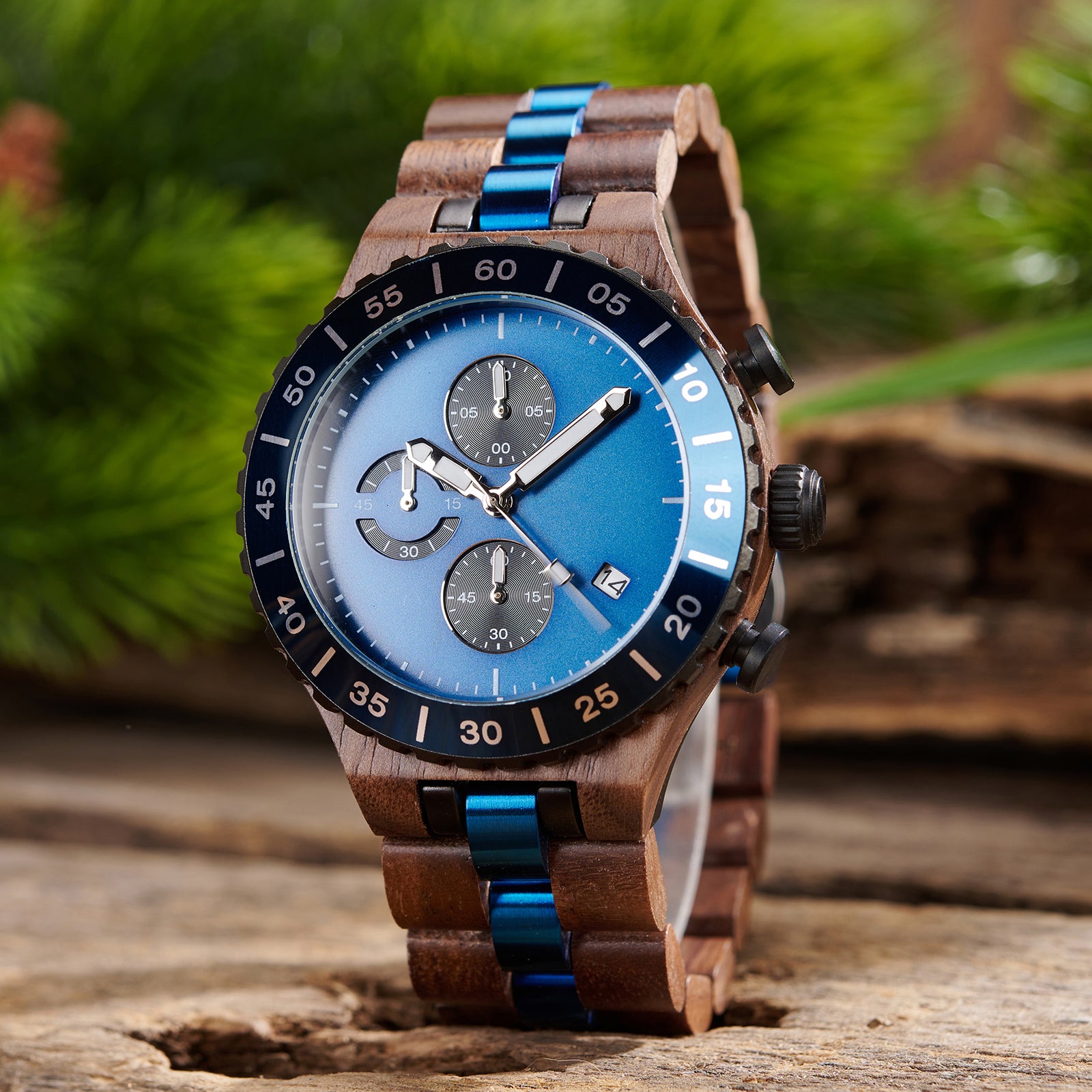 A stylish men's walnut wooden chronograph watch with blue and gold accents, showcased amidst lush greenery to highlight its sophisticated and natural design.