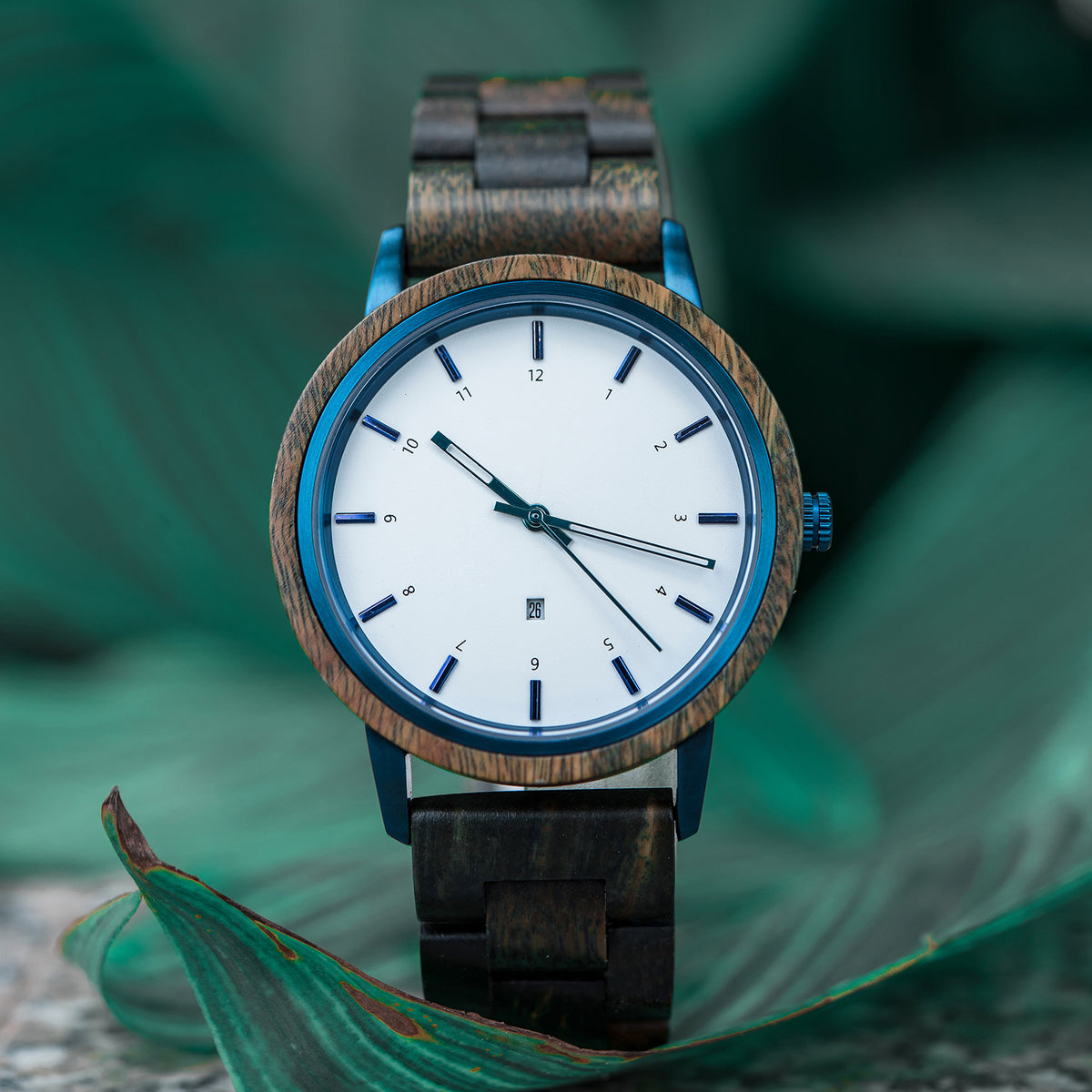 A stylish men's watch featuring a white dial with blue accents, wooden and dark wood band, presented on green foliage to highlight its natural and modern design aesthetic.