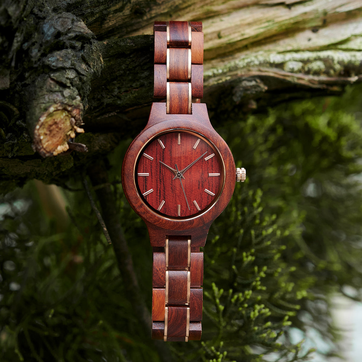 An elegant women's rosewood watch with gold-tone accents, displayed against a rustic woodland backdrop to emphasize its natural and refined design.