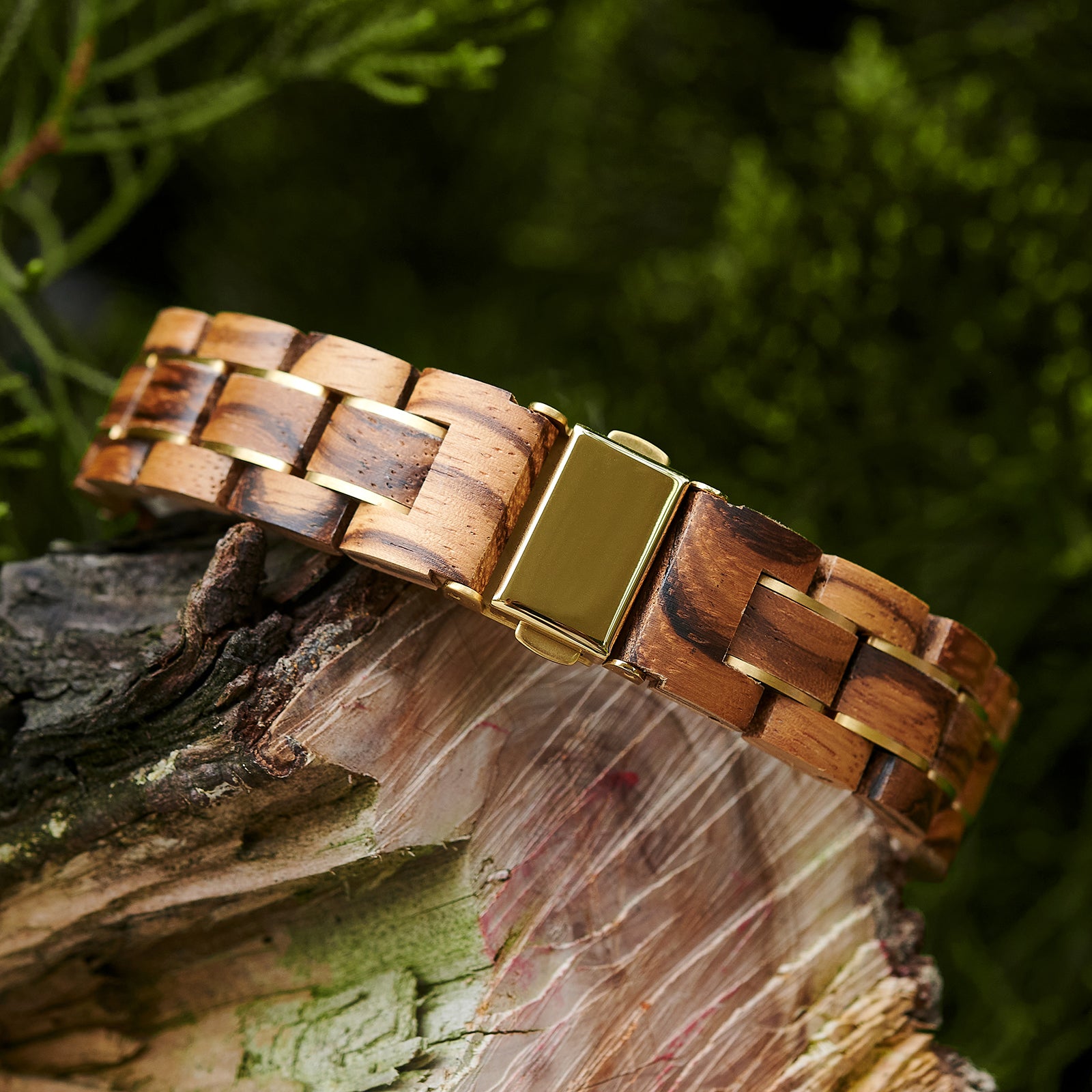 A detailed view of a women's zebrawood watch bracelet with a gold-tone clasp, displayed on natural wood amidst greenery to emphasize its craftsmanship and natural design.