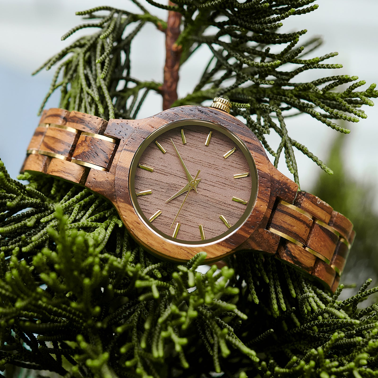 A stylish women's zebrawood watch with gold-tone accents, displayed in detailed view amidst lush greenery to highlight its unique wood grain and elegant design.