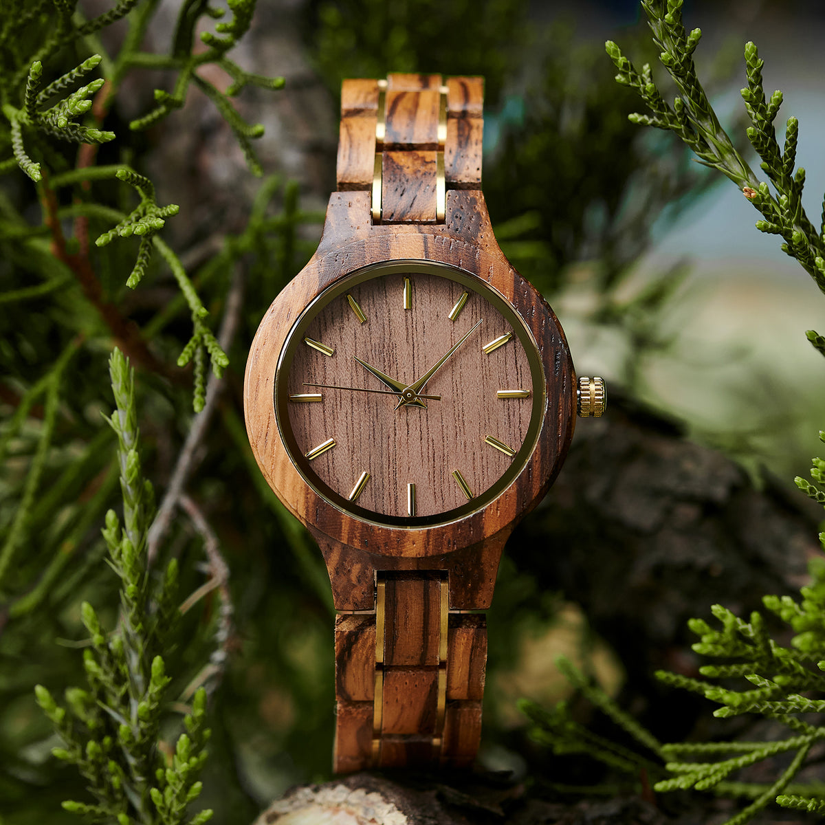 A stylish women's zebrawood watch with gold-tone accents, showcased amidst lush greenery to highlight its unique wood grain and elegant design.