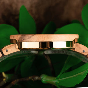 A close-up view of a women's wooden watch case featuring natural wood and gold-tone metal accents, placed on green foliage to highlight its luxurious craftsmanship and natural design details.