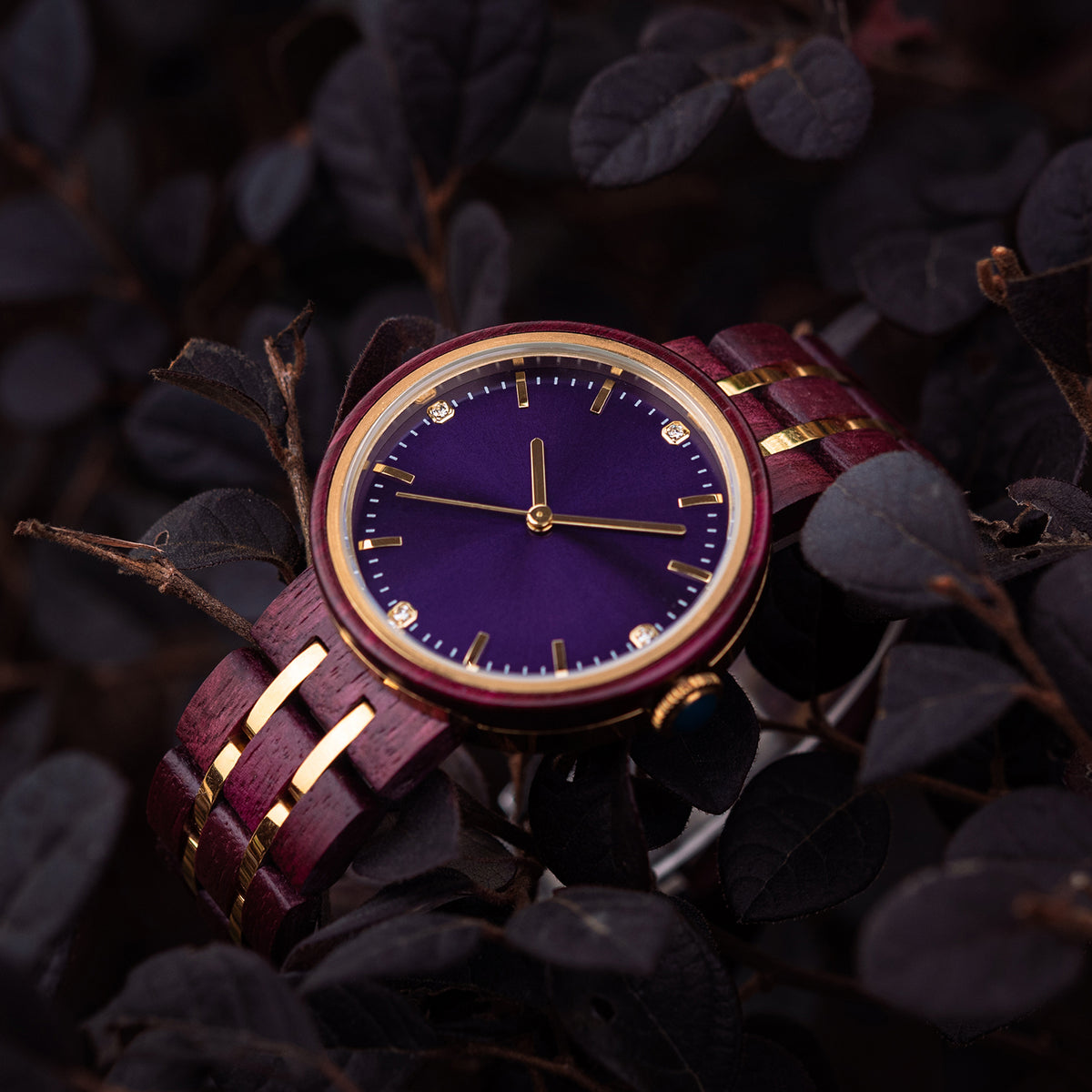 An elegant women's wooden watch featuring a purple dial, gold-tone accents, diamond-like details, and a two-tone wood and metal band, nestled amidst dark foliage to highlight its luxurious and natural design.