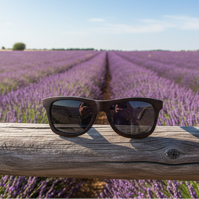 Lavender Field Provence